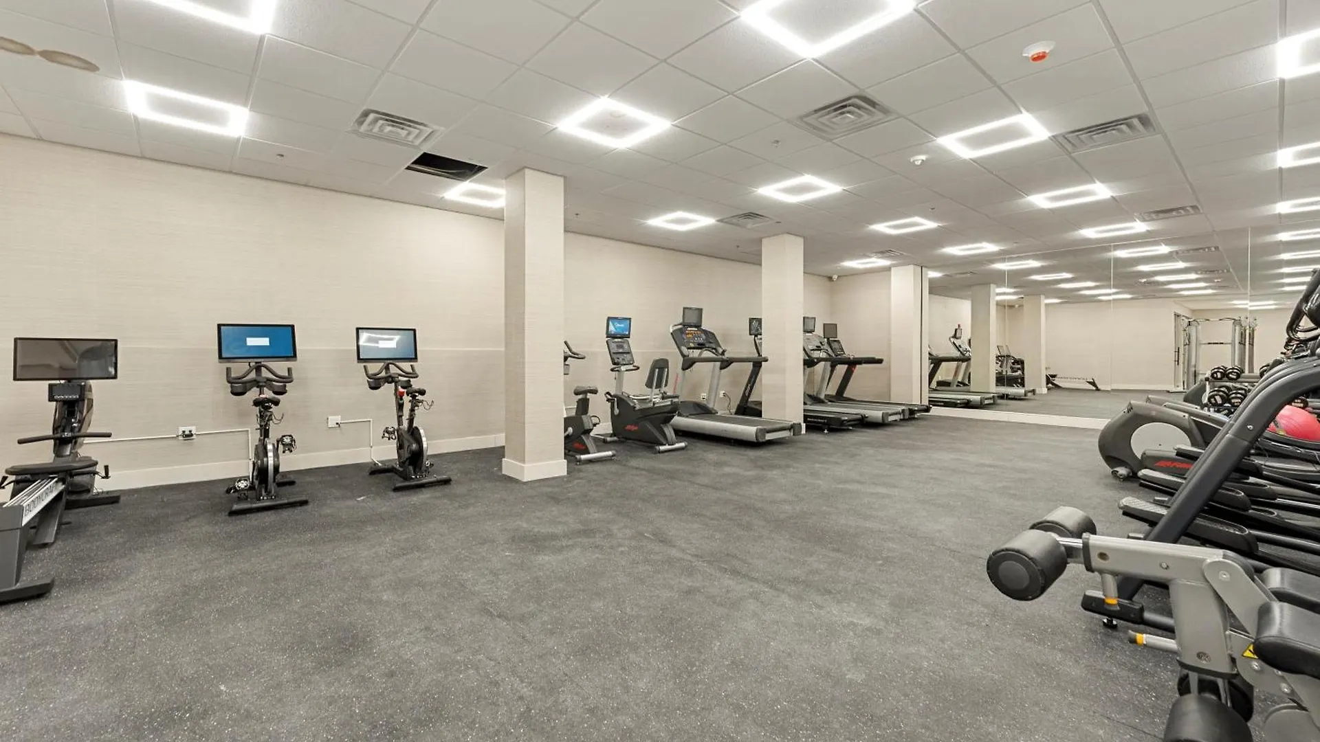 Downtown Cozy Apt/Ewr/Nyc/Ame Dream Mall/Prud Ctr Newark United States